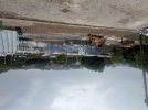 IMG_1138.jpeg