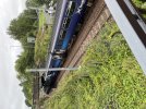 IMG_0384.jpeg