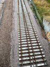 IMG_8360.jpeg