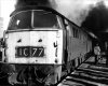 ZWW D1037 Reading 15th March 1974.jpg