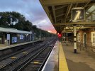 IMG_4891.jpeg