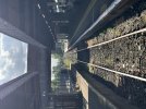 IMG_6866.jpeg