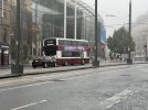 IMG_6462.jpeg
