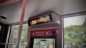 IMG_3780.jpeg