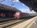 IMG_1433.jpeg