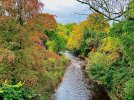 thumbnail_IMG_6781.jpg