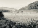 thumbnail_IMG_6811.jpg