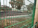 IMG_0048.jpeg