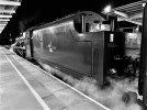 thumbnail_IMG_7177.jpg