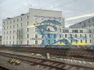 IMG_5127.jpeg