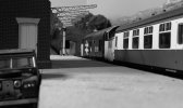 IMG_2250.jpeg