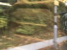 IMG_3816.jpeg