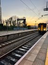 IMG_7322.jpeg