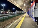 IMG_7329.jpeg