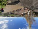 IMG_8868.jpeg