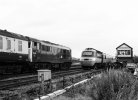 c388 update.jpg