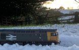 IMG_2436.jpeg