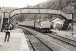 Rich photographing Class 37 diesel.jpg