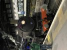 IMG_7153.jpeg