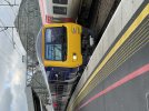 IMG_3296.jpeg