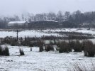IMG_0880.jpeg