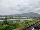 IMG_4099.jpeg