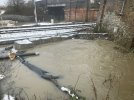 IMG_8468.jpeg