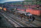PRR_9483_A-Pb.jpg
