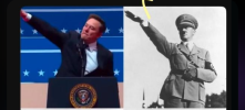 Image showing Musk' gesture on the left and the fail Austrian artist's on the right.
