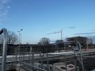 IMG_2062.jpeg