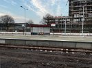 IMG_2066.jpeg
