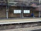 IMG_5289.jpeg
