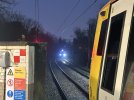 IMG_7411.jpeg
