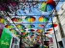 thumbnail_IMG_8453.jpg