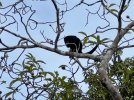 thumbnail_IMG_8937.jpg