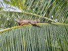 thumbnail_IMG_8957.jpg