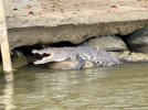 thumbnail_IMG_8978.jpg