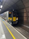 thumbnail_IMG_9248.jpg