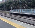 20250212_125241.jpg