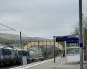 IMG_2008.jpeg