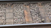 PXL_20250301_170926027.MP.jpg