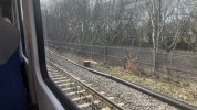 IMG_2025.jpeg