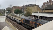 IMG_1977.jpeg