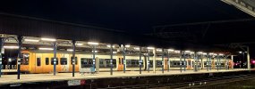 20250324_220246.jpg