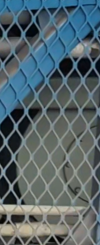 Screenshot_20250329-154640.png