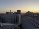 IMG_9890.jpeg