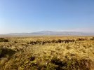 thumbnail_IMG_9616.jpg