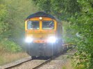 66758_Marchwood.JPG