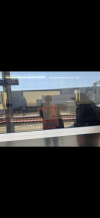 IMG_2884.png