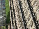 IMG_7548.jpeg